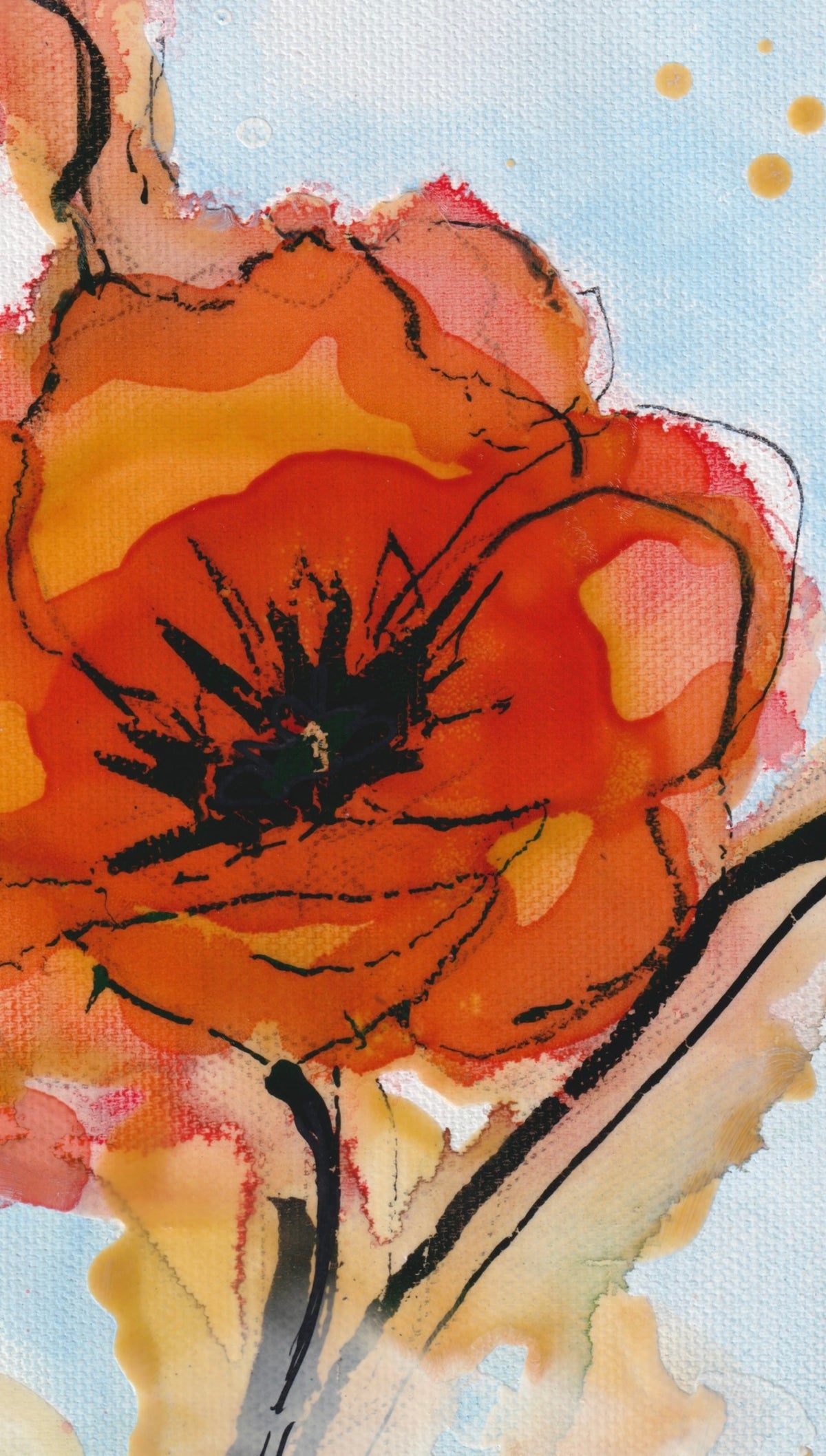 Waar bloemen dromen