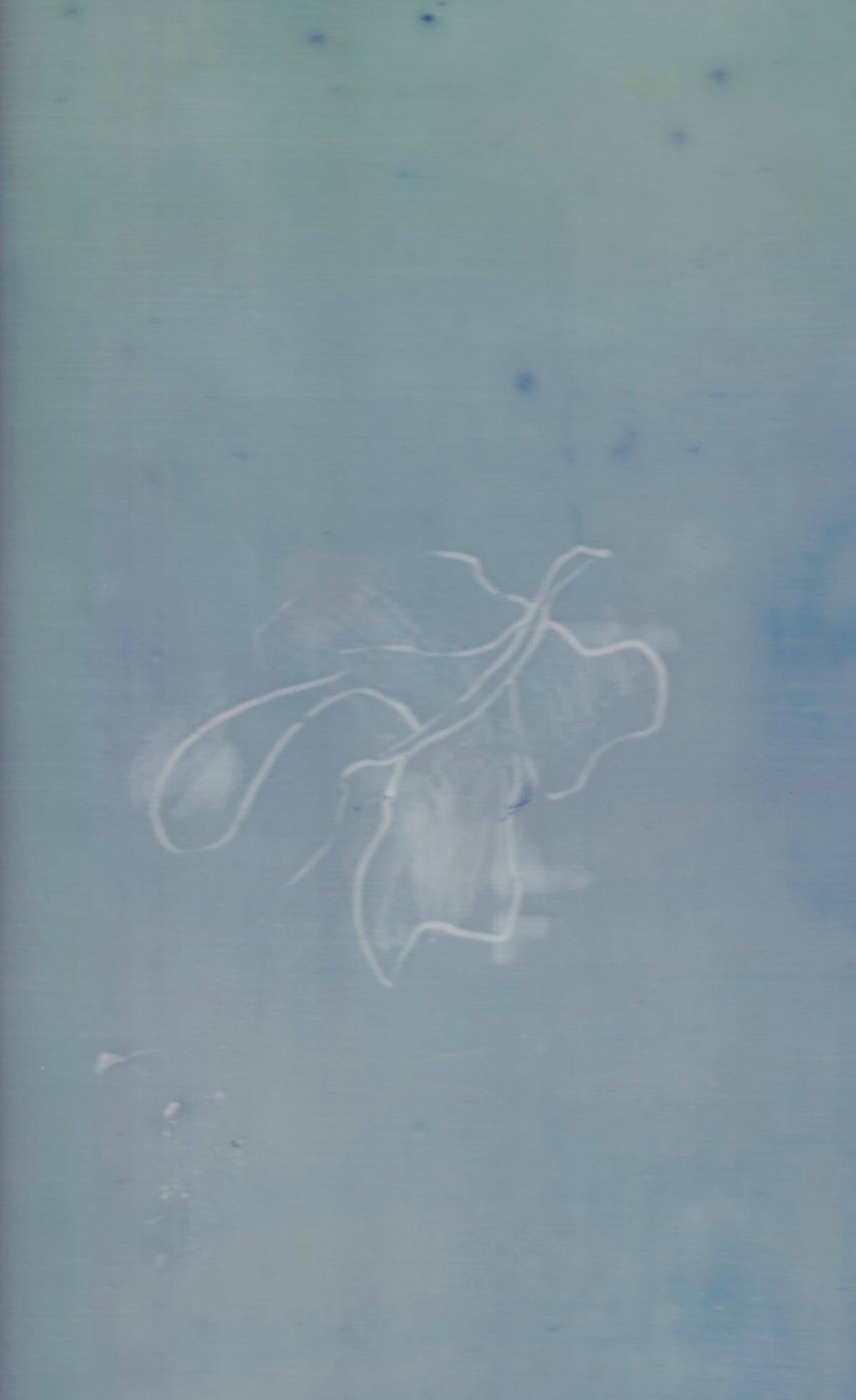 Bijenwaskunst